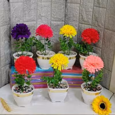 تک گل داودی