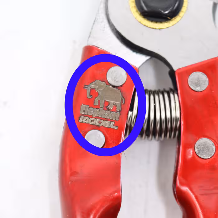 قیچی باغبانی مدل الفنت کد YPH-GH-Z-21CM