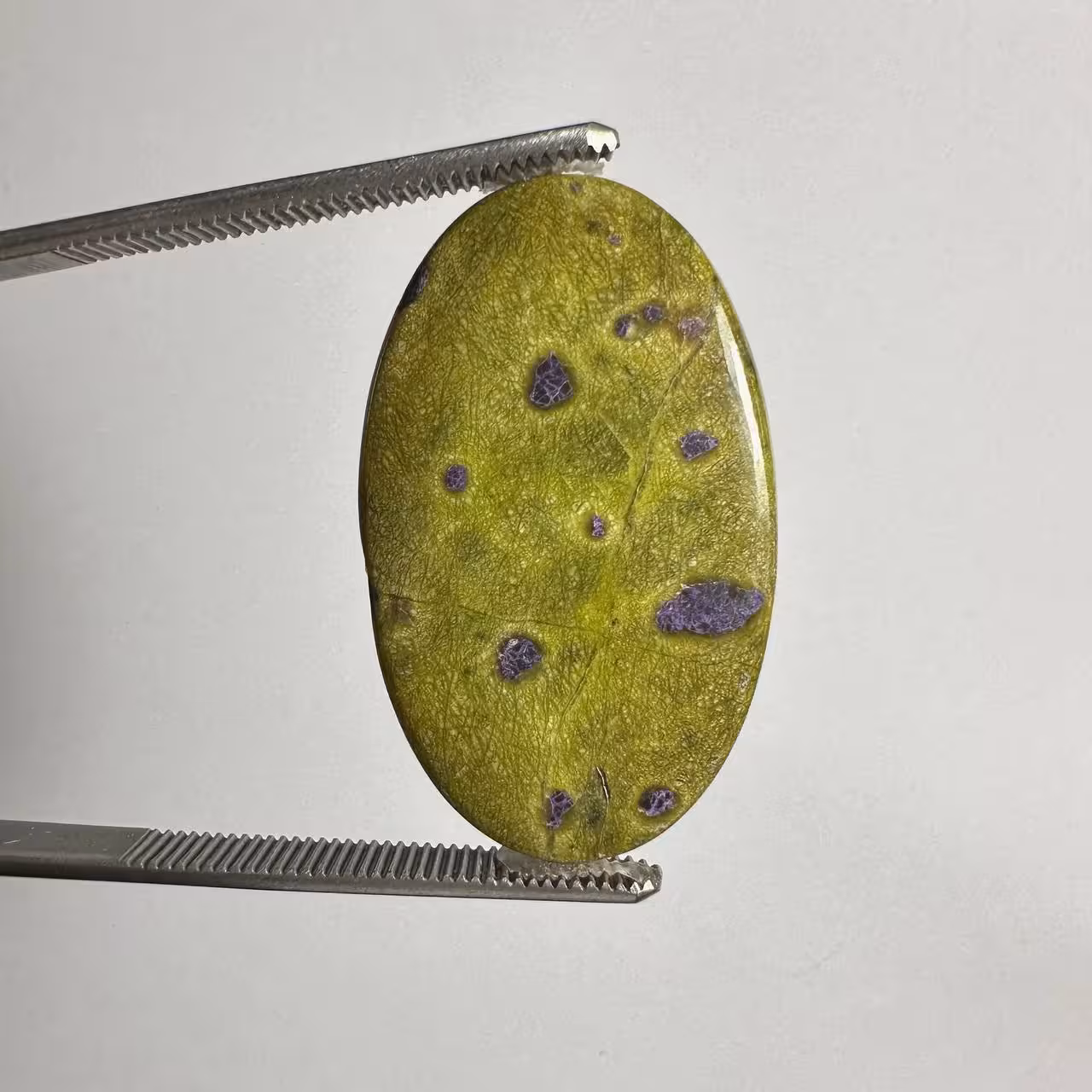 استیچ تیت بیضی سبزبنفش 235035