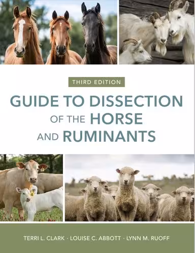 خرید و دانلود نسخه کامل کتاب Guide to Dissection of the Horse and Ruminants