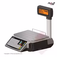 ترازو لیبل پرینتر رادین مدل MK II