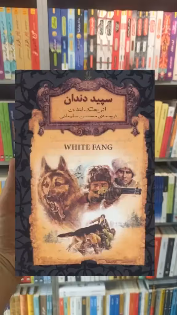 سپید دندان لب طلایی افق