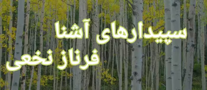رمان سپیدار های اشنا pdf