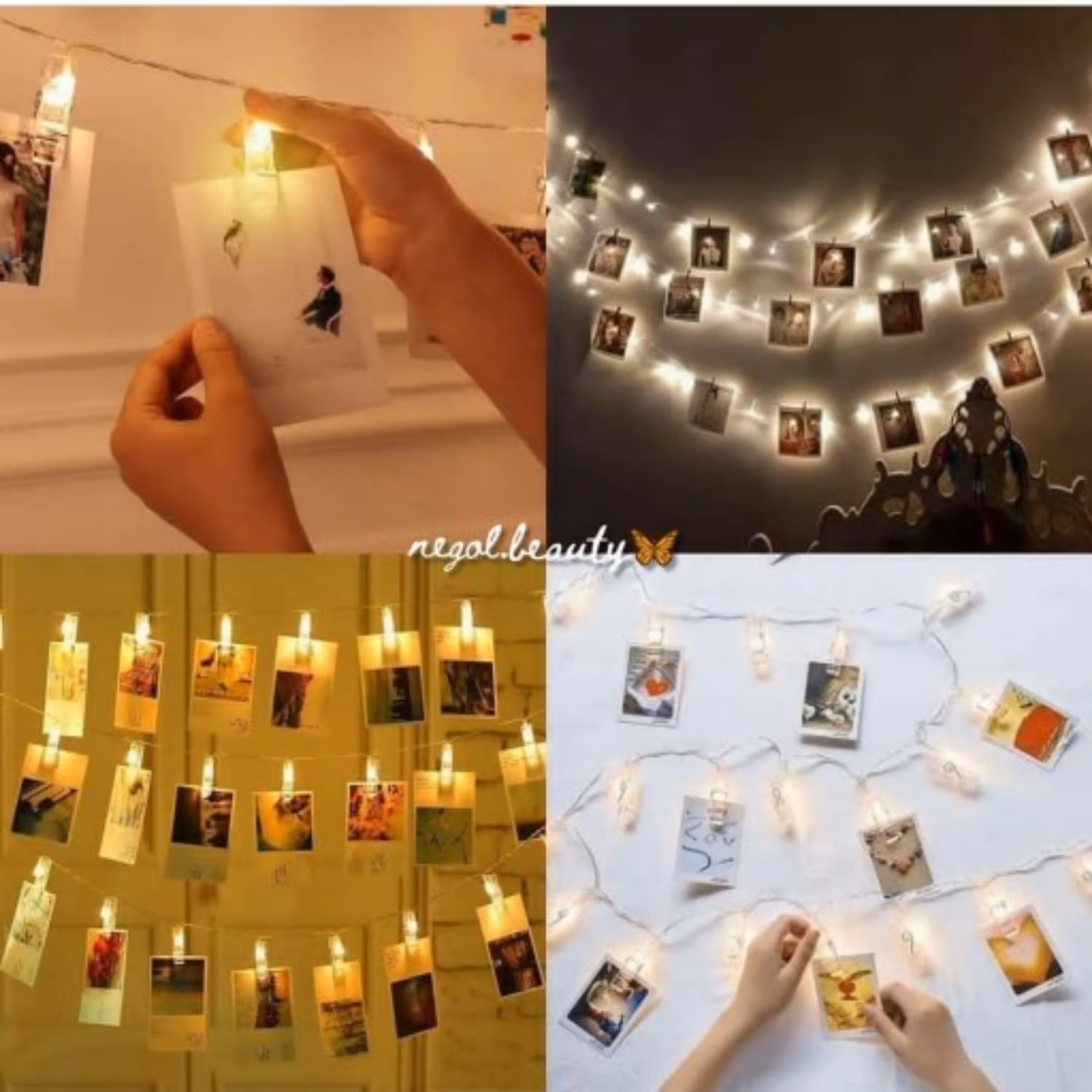 ریسه گیره دار آفتابی