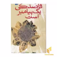 کتاب چراغ های رابطه (3)قاصدکی یک پیامبر اثر عرفان نظر آهاری نشر افق