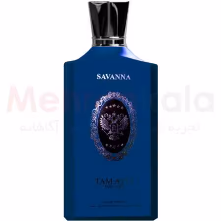 ادوپرفیوم مردانه تام آیلی مدل MAISON – عطر ادکلن جورجیو آرمانی ویت یو