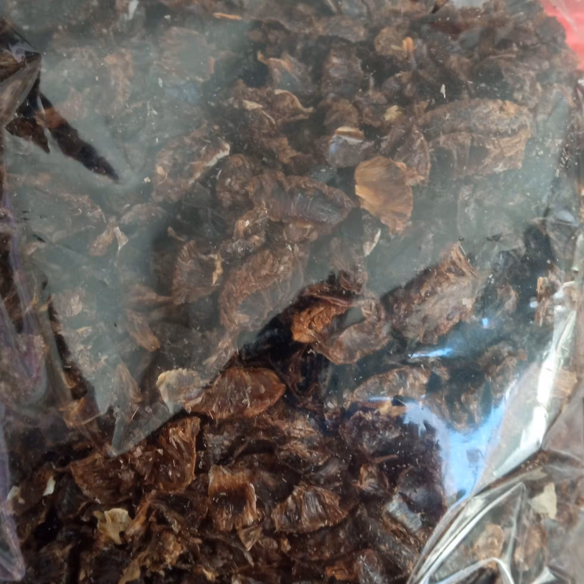 پرک و مغز لیمو 100 گرمی