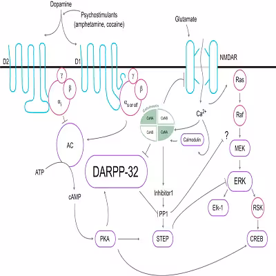 مقاله نبرد با اعتیاد از طریق نانوذرات