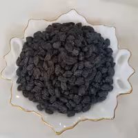 مویز سیاه بدون هسته هر کیلوگرم 260هزارتومان (با تخفیف)