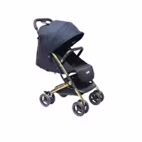 کالسکه دلیجان مدل مینی پرو