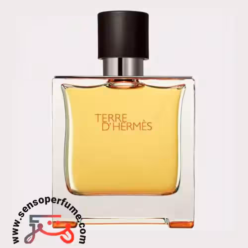 تستر اورجینال عطر ادکلن هرمس تق هرمس ادوپرفیوم | tester hermes terre d’hermes edp 75ml
