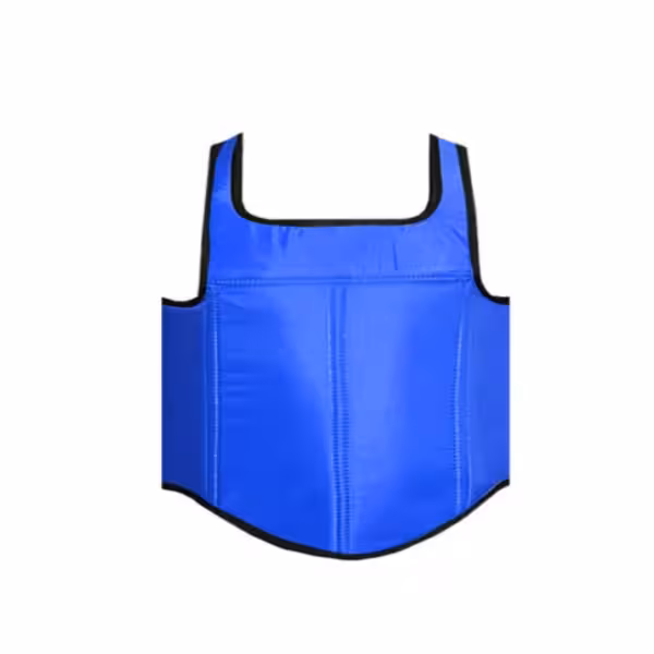 هوگو سانشو (ووشو)