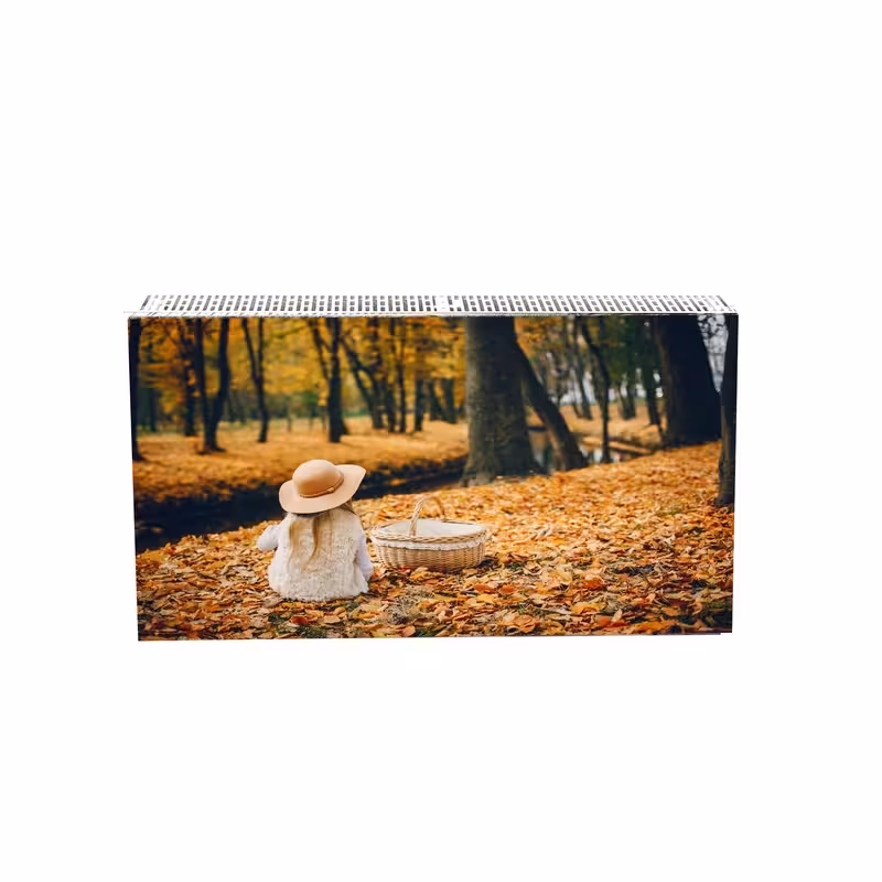 رادیاتور پنلی هاتیپس مدل پربازده عکس دار طرح پاییز