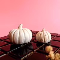 قالب سیلیکونی کدو در دو سایز 2 و 4 مناسب شمعسازی صابون سازی مجسمه سازی و پودر سنگ، رزین و...