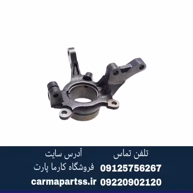 سگدست چپ شاهین
