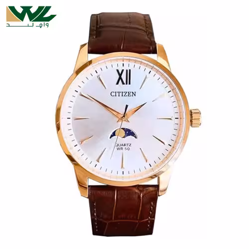 ساعت سیتیزن AK5003-05A