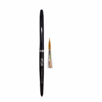 قلم آبرنگی امشا EMSHA PRO WATERCOLOR شماره 2.5