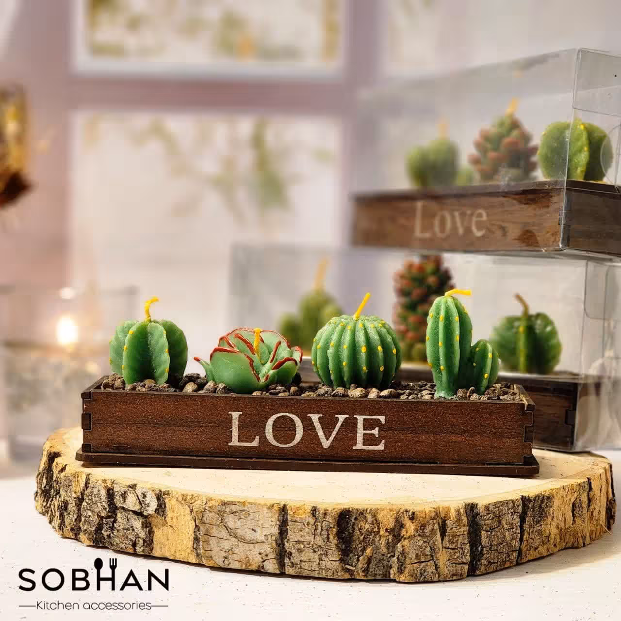 شمع کاکتوس در مدل های متنوع