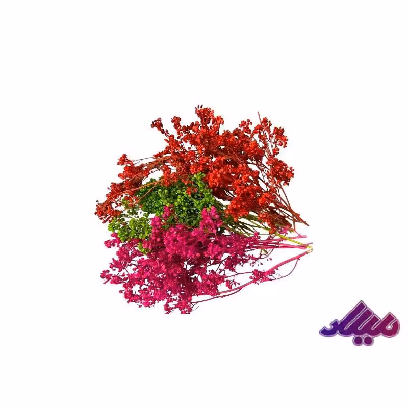 گل خشک درختی چند رنگ G117