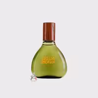 عطر ادکلن آنتونیو پوییگ آکوا براوا | antonio puig agua brava