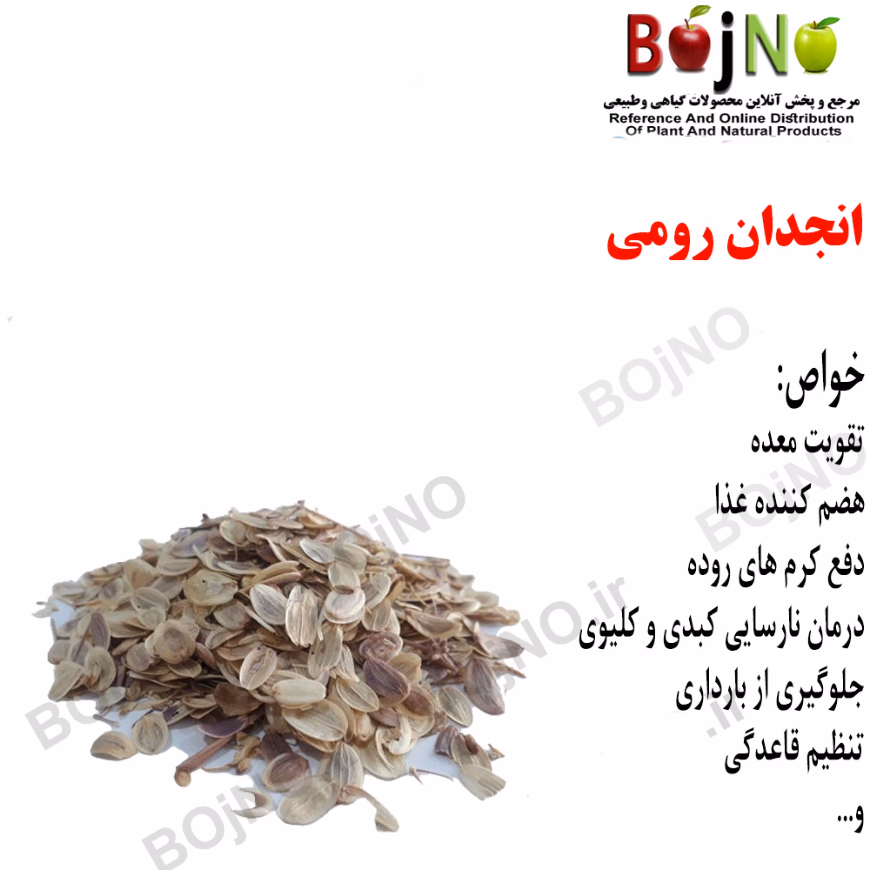 انجدان رومی 100گرمی