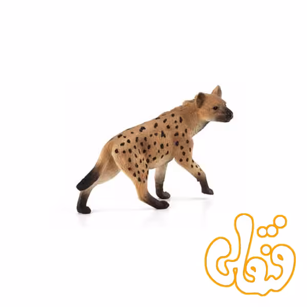 کفتار Hyena 387089