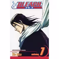 Bleach v07