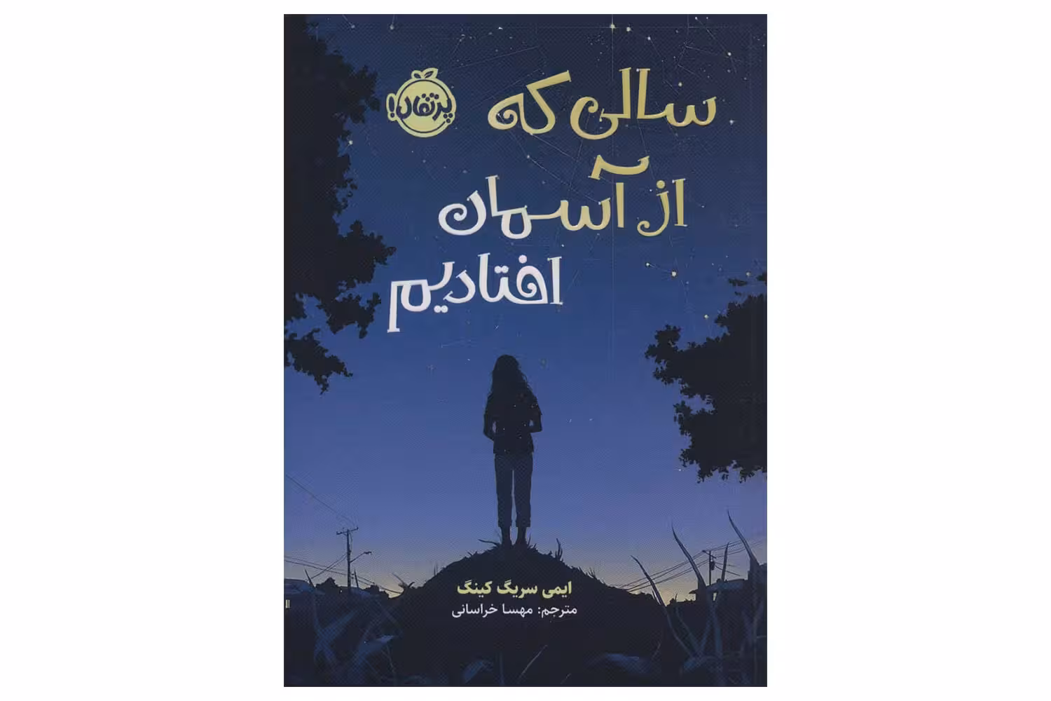 کتاب سالی که از آسمان افتادیم