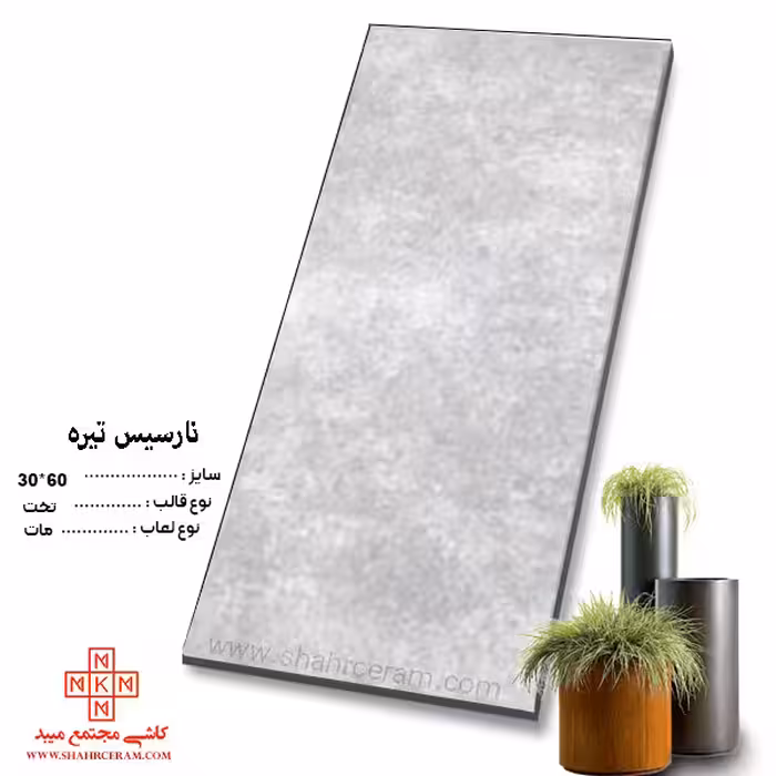سرامیک نارسیس تیره 60*30 کاشی مجتمع