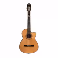 گیتار کلاسیک واش برن مدل رزوود کات ویWashburn Classical Guitar