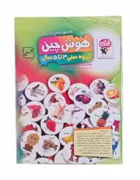 اسباب بازی هوش چین 2 تکه چوبی