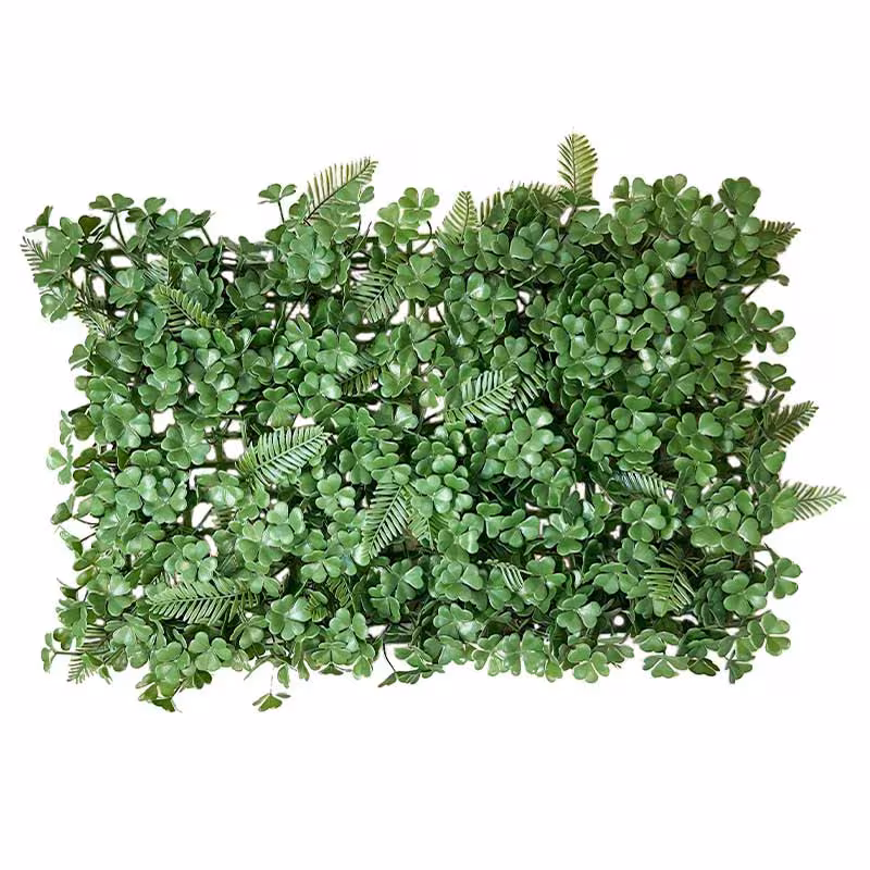گرین وال سیکاس شبدر
