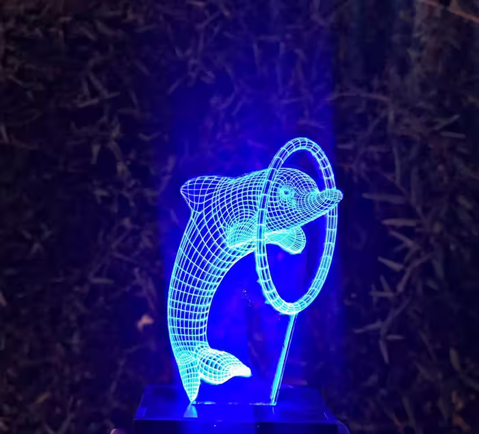 بالبینگ شب خواب (دلفین)