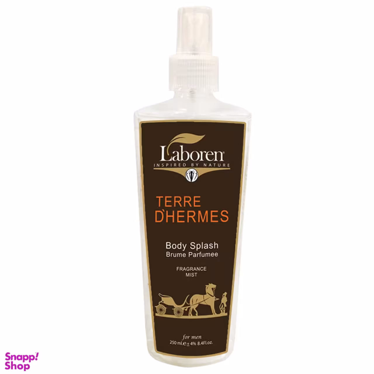 بادی اسپلش مردانه تق هرمس لابورن (Laboren) مدل Terre D'Hermes حجم 250 میلیلیتر