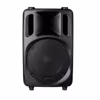 بلندگو پسیو 15 اینچ جی تی آر JTR JW-600P