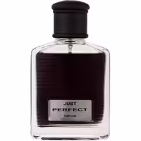ادکلن مردانه کلس مدل JUST PERFECT حجم 100 میل