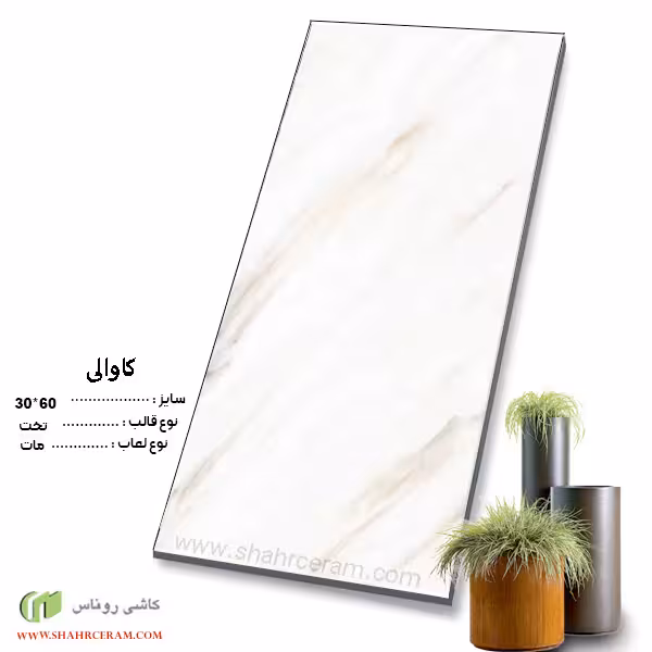 سرامیک کاوالی 60*30 کاشی روناس
