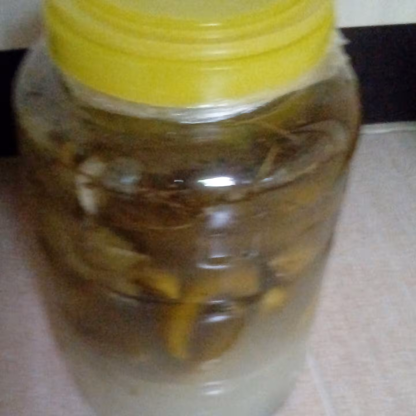 خیار شور خانگی تهیه شده با سرکه ونمک(25000) گرم خیار وبا ظرف 5000گرم