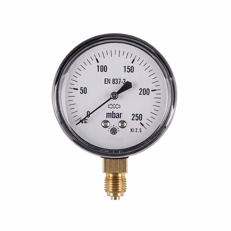 گیج فشار صفحه 6 سانت خشک 250 بار