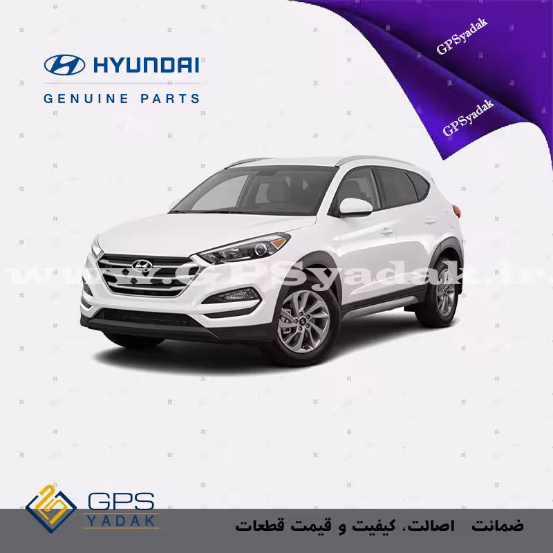 پنل دور ضبط مناسب برای هیوندای توسان