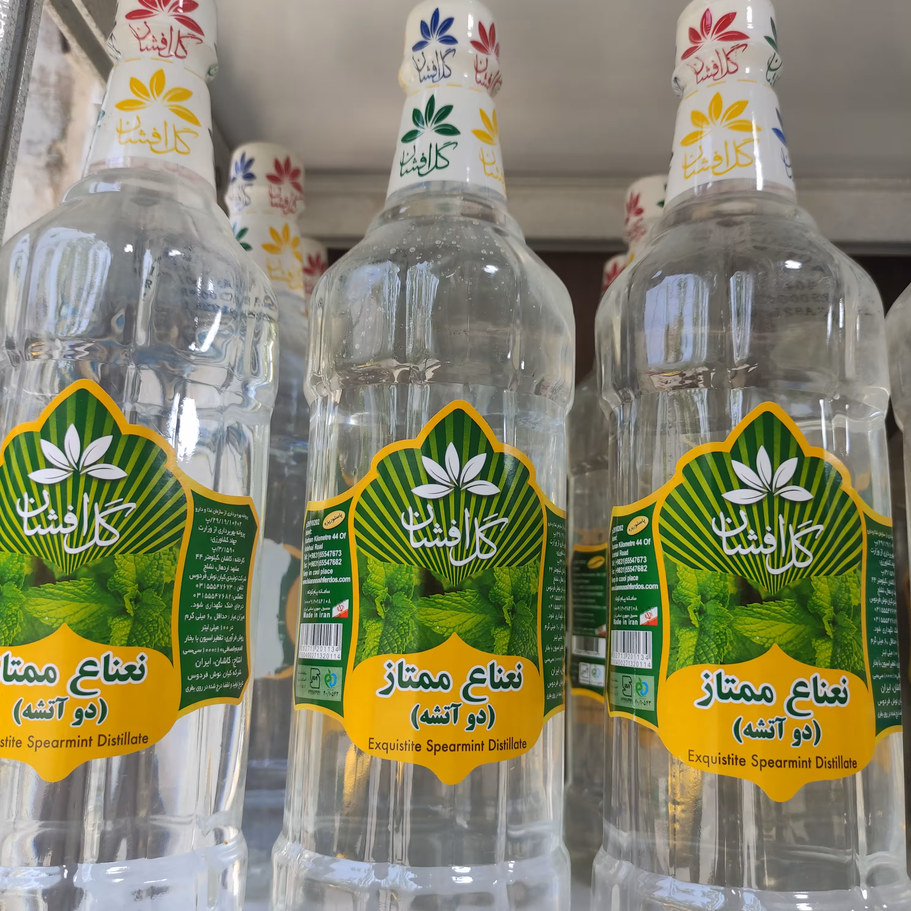 عرق نعنا ویژه