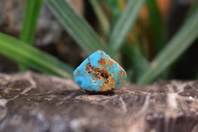 فیروزه نیشابور