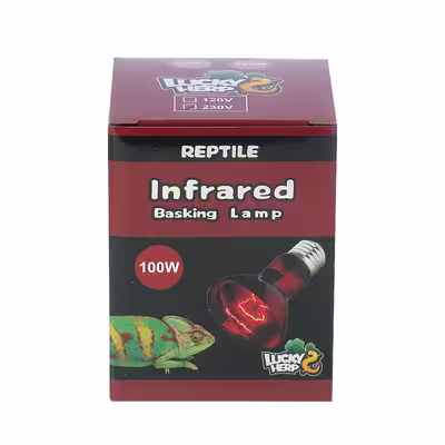 لامپ مادون قرمز 100 وات لاکی هرپ مدل INFRARED-220V-100W-E27