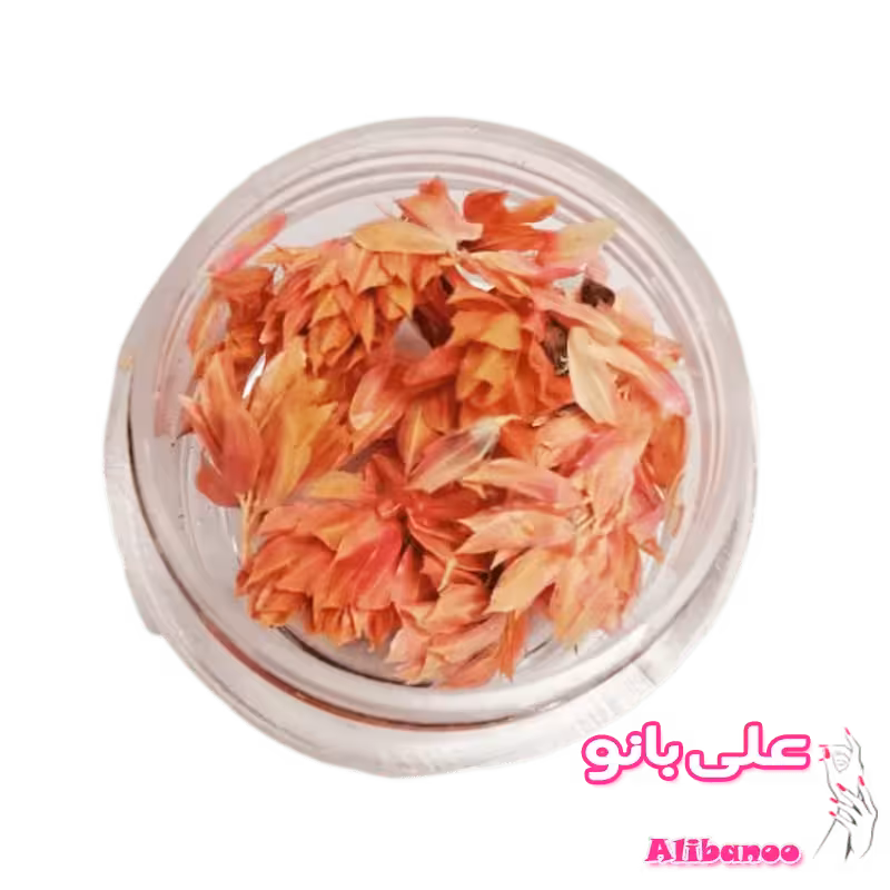 دیزاین گل خشک ناخن مدل 5