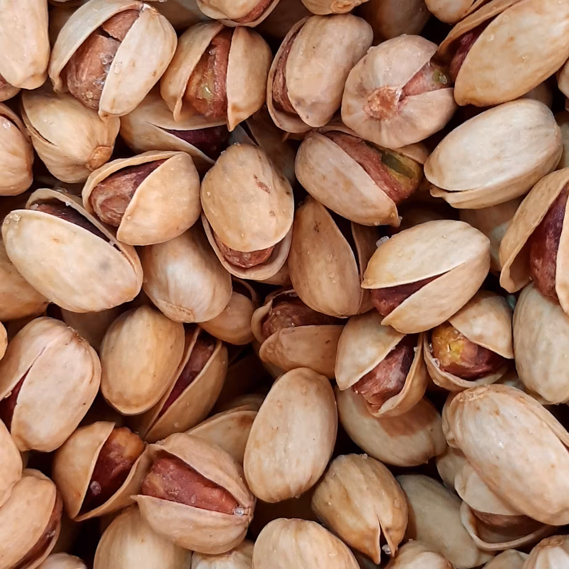 پسته کله قوچی شور،دستچین و بدون دهن بست