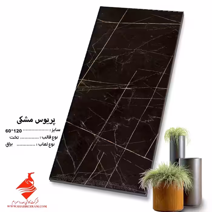سرامیک پریوس مشکی 120*60 کاشی صدرا سرام