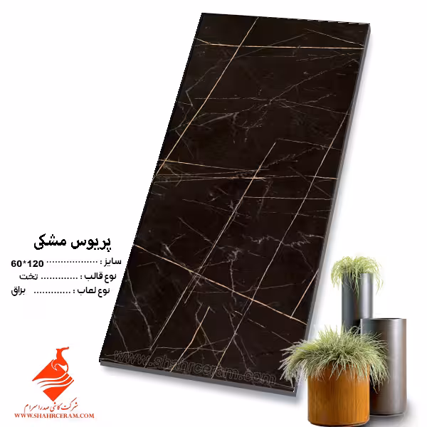 سرامیک پریوس مشکی 120*60 کاشی صدرا سرام