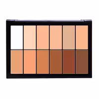 پالت کانتور چرب فیوچر میکاپ FU801