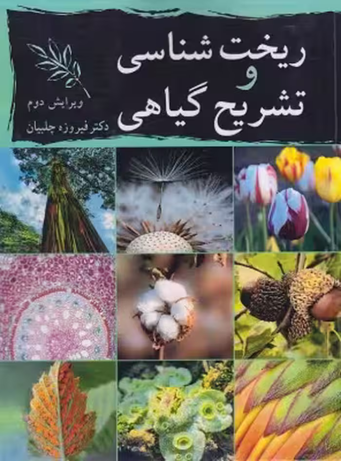 کتاب ریخت شناسی و تشریح گیاهی انتشارات آییژ