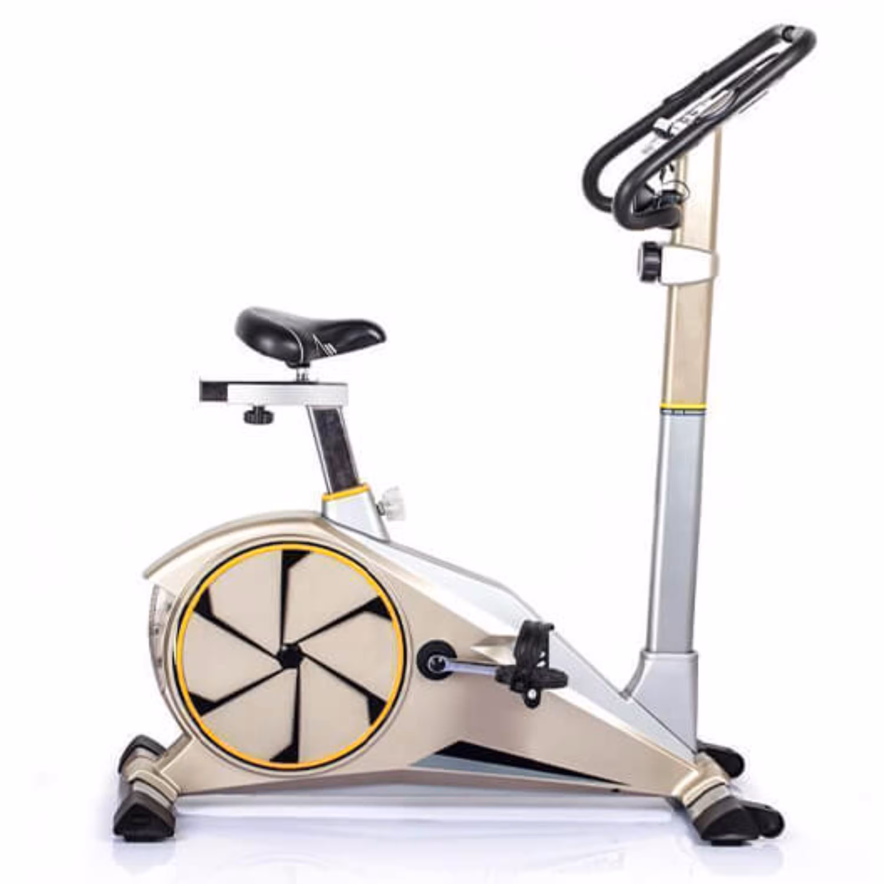 دوچرخه ثابت خانگی تایگر اسپرت G100 با پایین ترین قیمت 